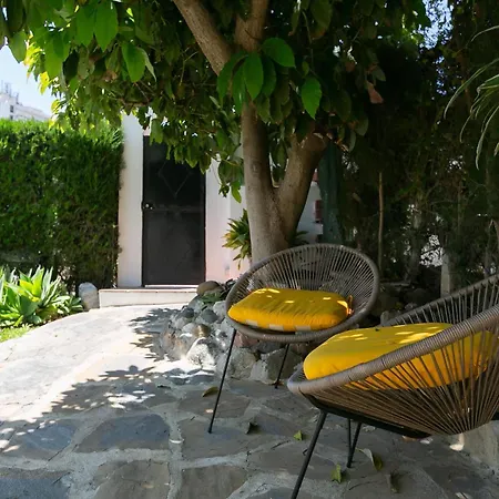 Cionin Marbella